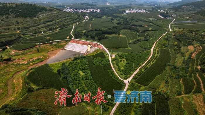 一年四季 泉在济南丨层叠绿意入画来！济南梯子山绿色梯田显生态魅力